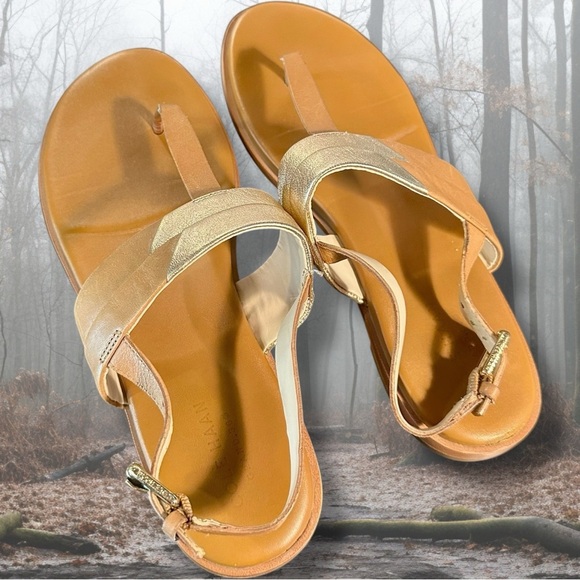 Cole Haan ‘Ainsley Grand T-Strap Sandals’ in Tan & Gold Metallic Leather Size 7 - Picture 9 of 16